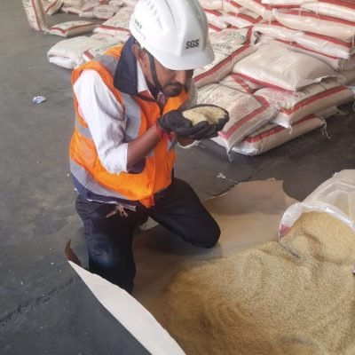 WhatsApp Image 2025-11-17 at 6.46.51 PM