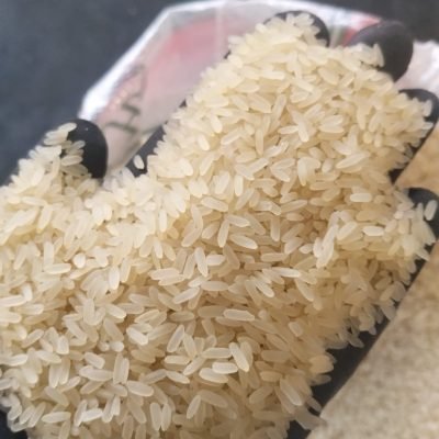 WhatsApp Image 2025-11-17 at 6.46.52 PM (1)