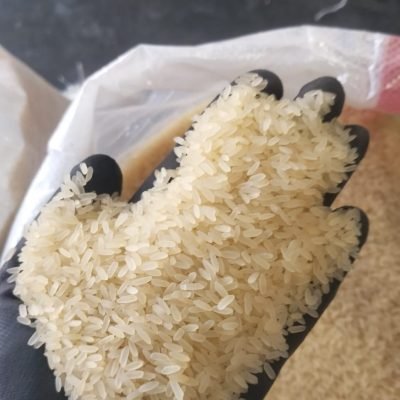 WhatsApp Image 2025-11-17 at 6.46.52 PM