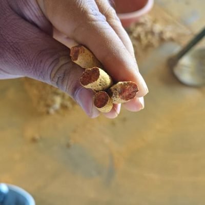 WhatsApp Image 2025-11-17 at 6.46.56 PM